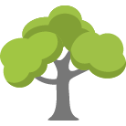 Redwood City Tree Trimming Service